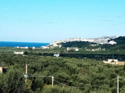 Peschici Apartment | jasmin