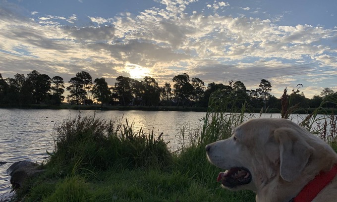 Reservoir House | Jasmine Room- 5 minutes walk to Edwards Lake