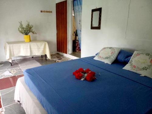 Taveuni Island East House | JayDees Home Retreats Homestay