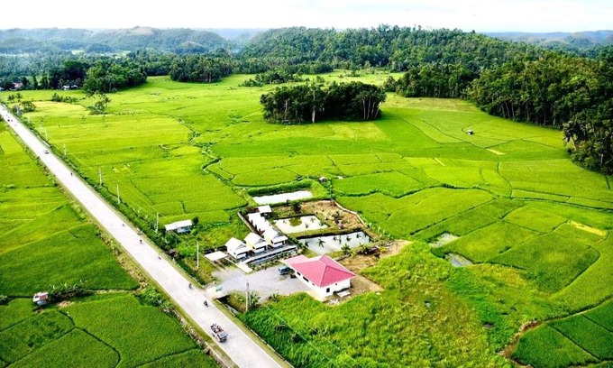 Batuan Apartment | Jazz Ferme Inn Batuan Bohol