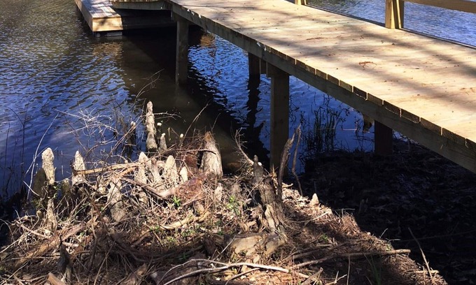 Zwolle House | Jeff's Cottage*3 bedroom*2 bath*Toledo Bend*Louisiana Side*1215 area