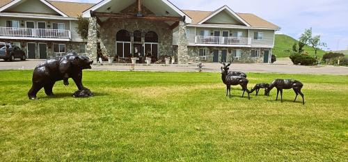 Whitehall Hotel | Jefferson Inn