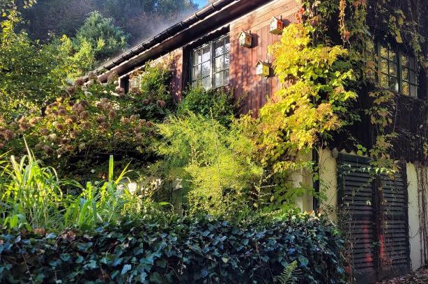 Srebrna Gora House | Jemna 55