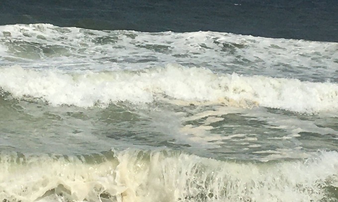 Ortley Beach Condo | Jersey shores quiet gem LAVALLETTE 2 bedroom 2 full baths n