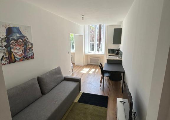 Aurillac Apartment | Joyau historique 101