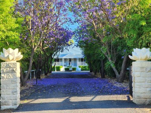 Dalby Hotel | Jubri's Hideaway