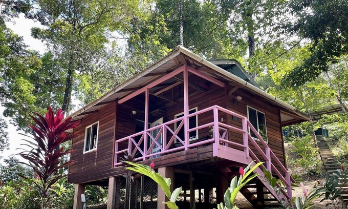 Isla Solarte House | Jungle house King with a view of the Caribbean Sea