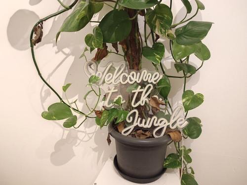 Kelkheim Apartment | Jungle in Kelkheim for 4 Persons 24 h check in