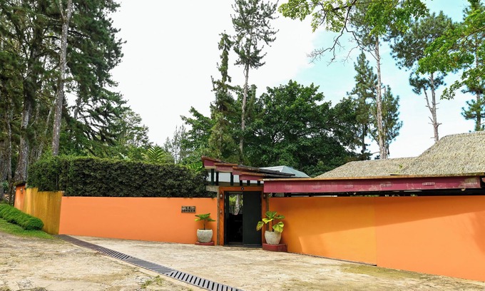 Cerro Azul Bed & Breakfast | Jungle Mansion - 9 Bedrooms with pool, bar, game room & more