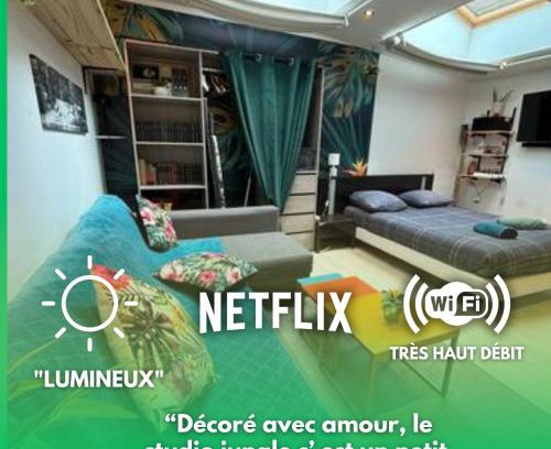 Henriville Apartment | Jungle Studio - 2P à 4P -Henriville