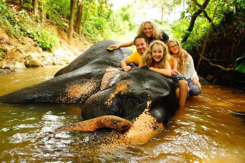 Rambukkana House | Jungle Village Homestay