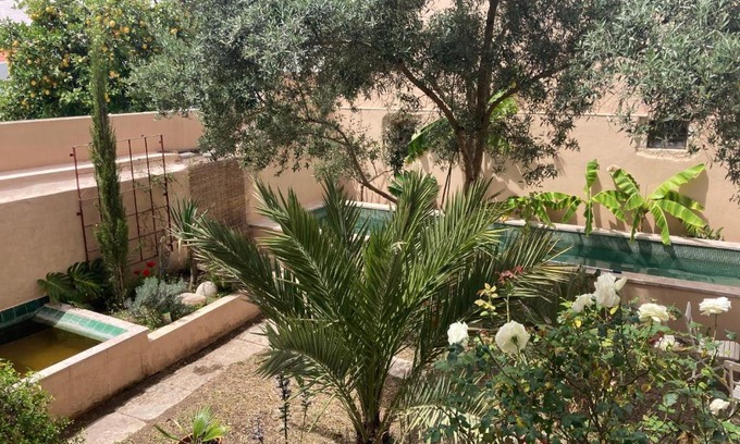 Belem Villa | Junqueira Gardens - Casa Antiga Jardim e Piscina