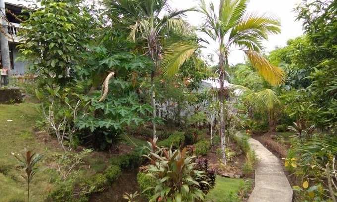 Lawaan Hotel | Jupiter's Garden Resort