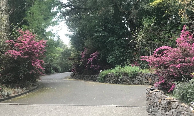 Scenic Brush Creek House | Just minutes from Calistoga, Kenwood, Sonoma and Napa