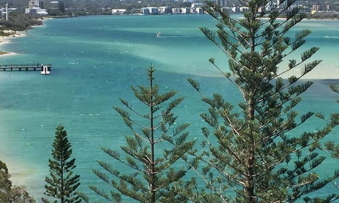 Golden Beach Apartment | Just Perfect - ocean view escape with free Wi-Fi & Netflix