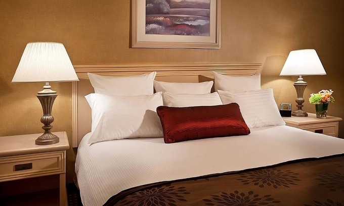 SeaTac Hotel | Just What You Were Looking For! Pets Allowed, Free Parking & Airport Shuttle