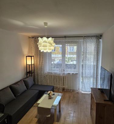 Legnica Apartment | Justinrent Rynek 36
