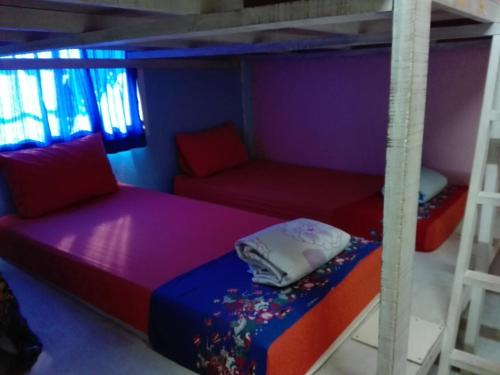 Haad Rin House | K&M house