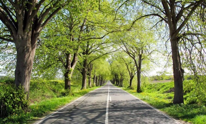 Garz/Rugen House | Kaiser by Interhome