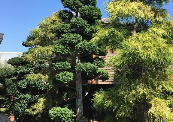 Kamagaya House | Kamagaya - House - Vacation STAY 9556