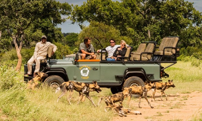 Thorny Bush Game Reserve Cabin | Kambaku Safari Lodge