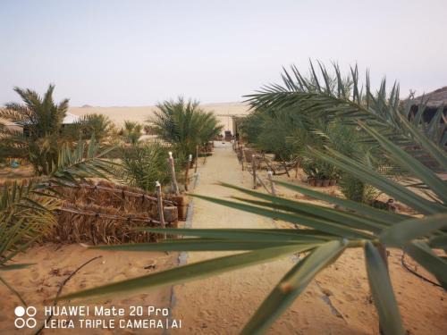 Siwa Apartment | Karam Siwa Camp