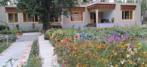 Nubra Valley House | KARMA Homestay Sumur Nubra