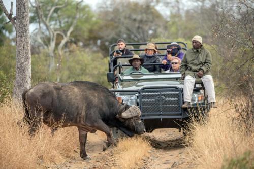 Maruleng Cabin | Karongwe - Kuname Safari Lodge