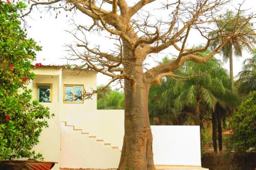 Casamance Bed & Breakfast | KASA BOUBAK avec cuisine extérieure à 50 M DE LA PLAGE