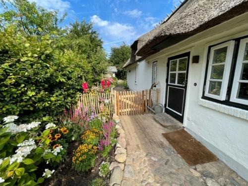 Stoltebuell House | Kate 4