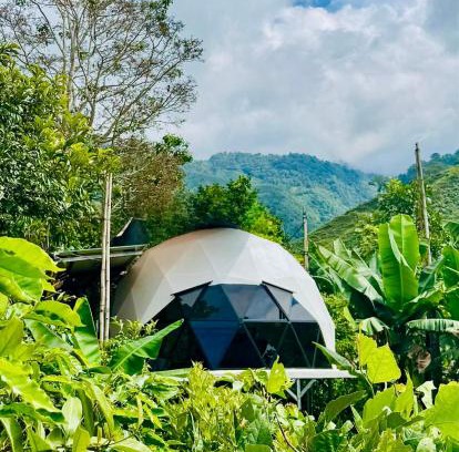 Paramo Apartment | Kayala Domes