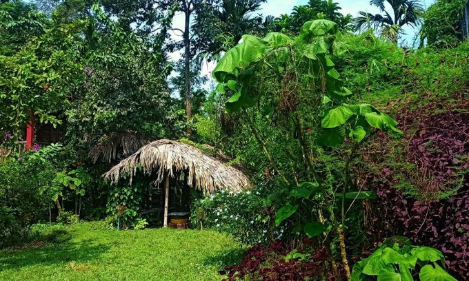 Bokakhat House | Kaziranga Abode.