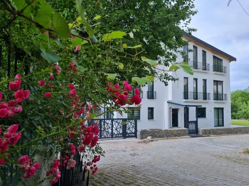 Masukiye Apartment | KD Apartments