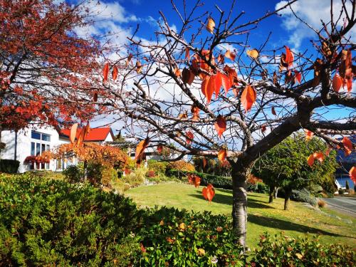 Kelvin Heights House | Kelvin Garden Villa