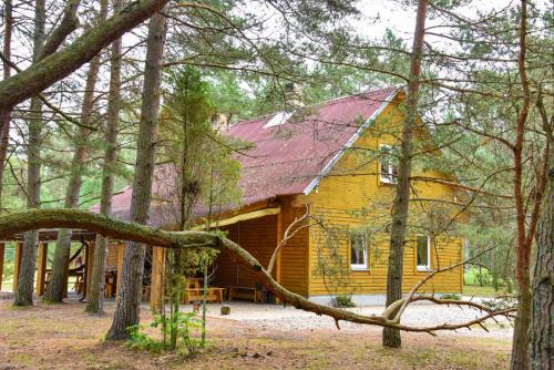 Liepene Other | Kempings Videnieki