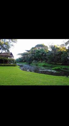Kapsabet Other | Kenya Kapsimotwa Gardens