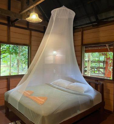 Khlong Sok Resort | Khao Sok Green Mountain View