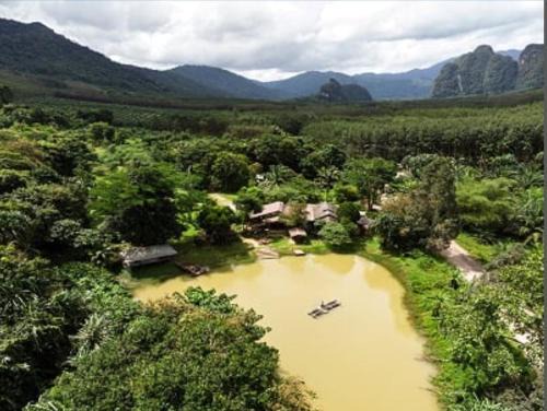 Khlong Sok House | Khao Sok Homestay Resort