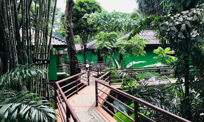 Khlong Sok Hotel | Khao Sok River Lodge Hotel