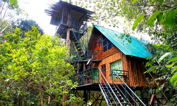 Khlong Sok Resort | Khao Sok Tree House Resort