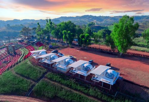 Khao Kho Other | Khaokho flower camp