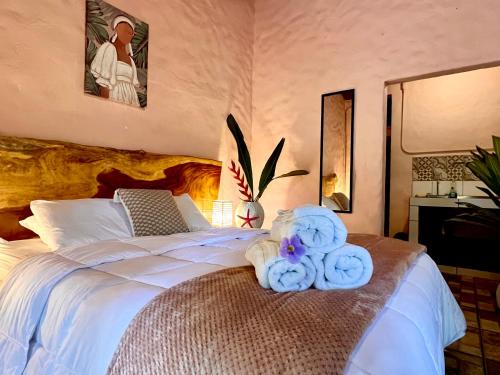 El Cerro Bed & Breakfast | Kika Zaru B&B Free MA park tour and Free breakfast