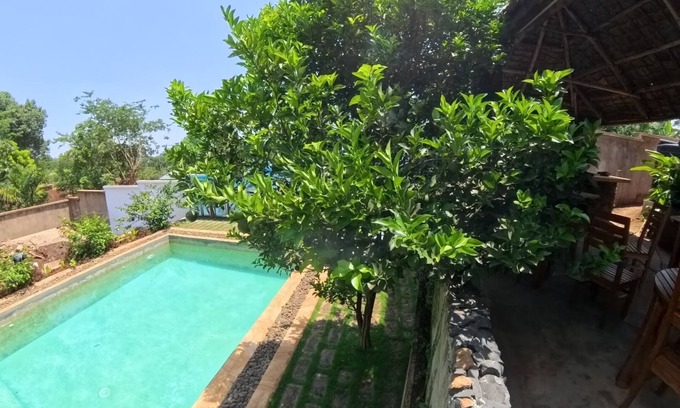 Moshi Hotel | kili Kivuli