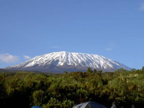 Moshi Bed & Breakfast | KILIMANJARO HOME OF RASON