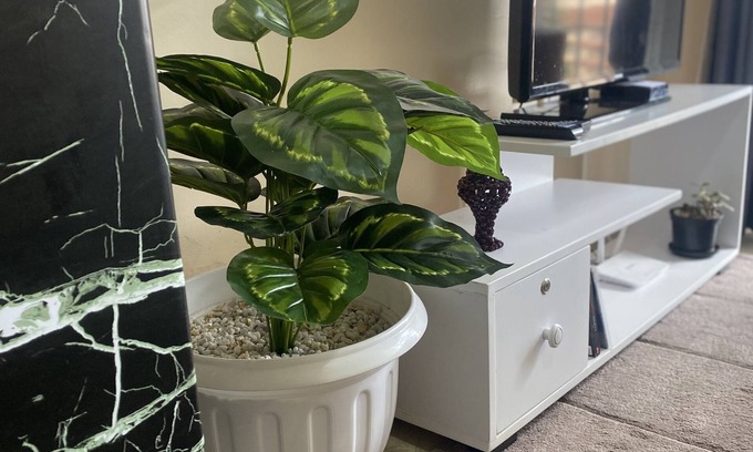 Ruaka Apartment | KinAirbnb