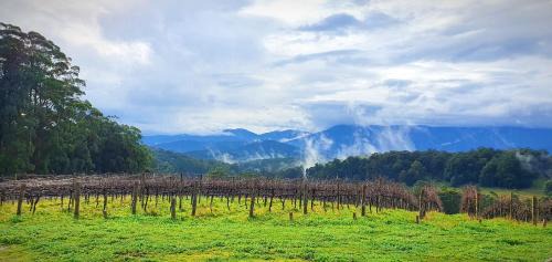 Gladysdale House | KiNam Vinea - A Vineyard Farmhouse in the Yarra Valley
