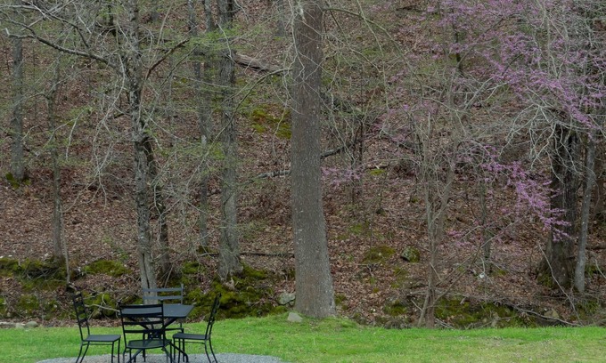 Mount Ida Apartment | King Guest Room located at the Joplin Inn at the entrance to Mountain Harbor, just 2 1/2 miles from Lake Ouachita. by RedAwning