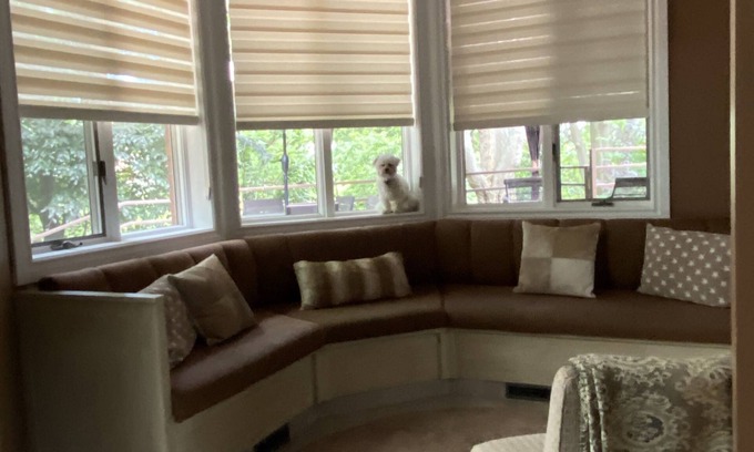 Kingsville House | Kingsville , ON house/cottage/villa property short vacation/weekend stay