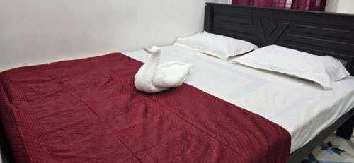 Karaikudi House | KK Dream Garden