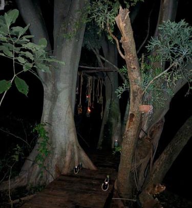 Rustenburg House | Klein Eden Forest